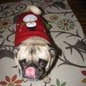 Meet your Posher, Maryann